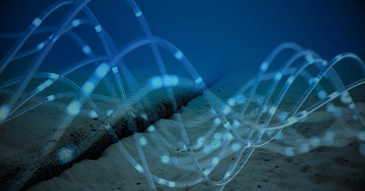Underwater view of a submarine cable resting on the ocean floor, overlaid with digital, glowing blue waveforms representing data transmission. The image conveys the concept of undersea telecommunications infrastructure and cyber connectivity.