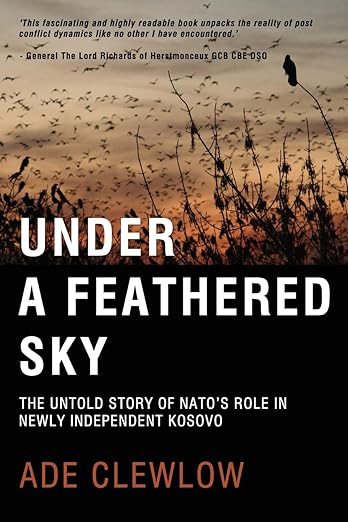 Under a feathered sky